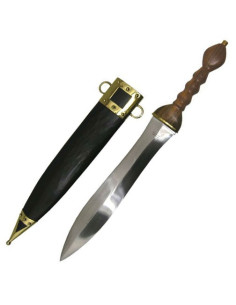 Funktionel Roman Pugio