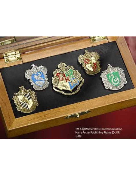 Pins Zweinstein scholen, Harry Potter