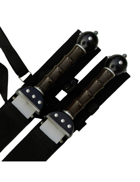 Set 2 fantastische Gladius om op te hangen