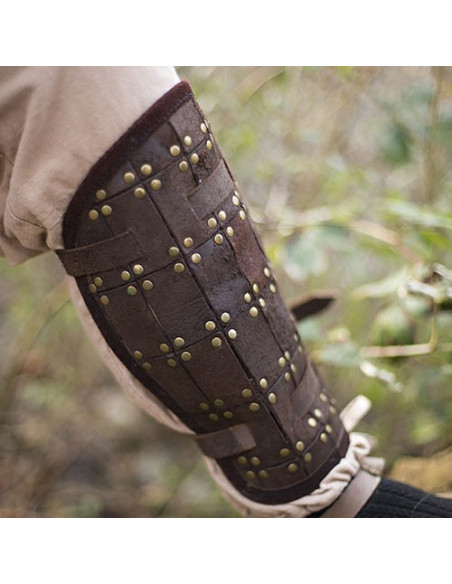 krijger bruine kanen krijger bruine kanen