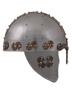 Noorse drakenhelm 2