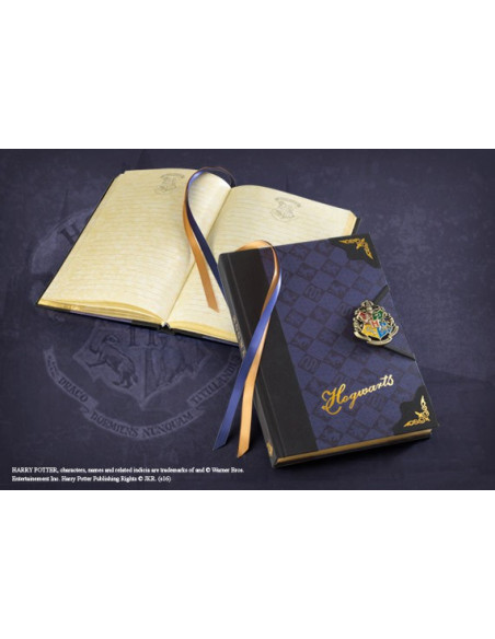 Harry Potter Hogwarts dagboek