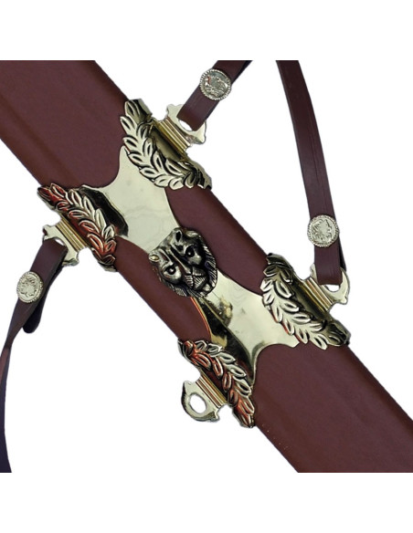 Romeinse Spatha Cavalerie met schede