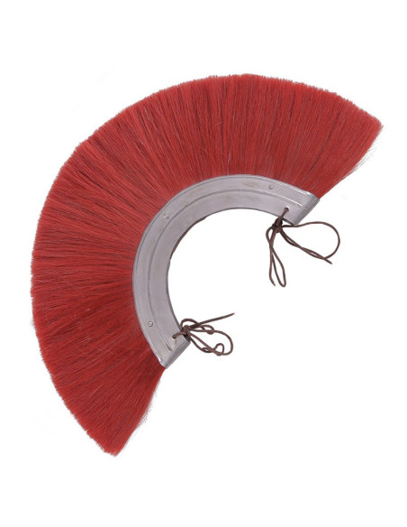 Römischer Helmbusch