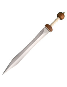 Gladius Maintz-zwaard