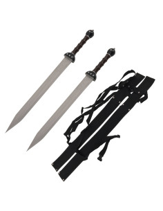 Set 2 fantastische Gladius om op te hangen