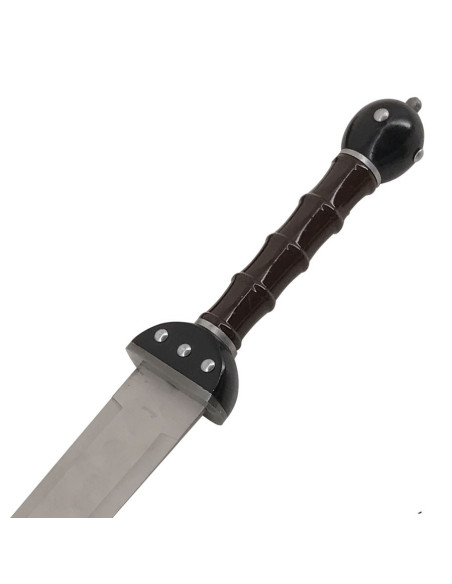 Set 2 fantastische Gladius om op te hangen