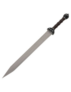 Sæt 2 fantastiske Gladius til at hænge