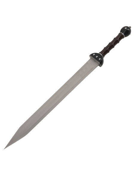 Set 2 fantastische Gladius om op te hangen