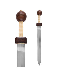 Gladius Pompeji med skede 2