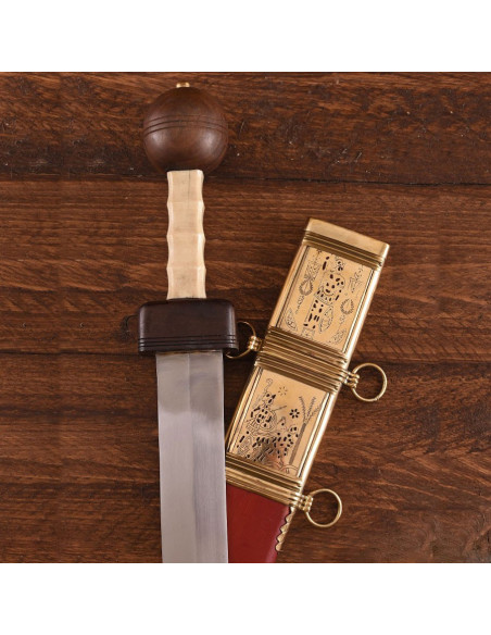 Gladius Pompeji med skede