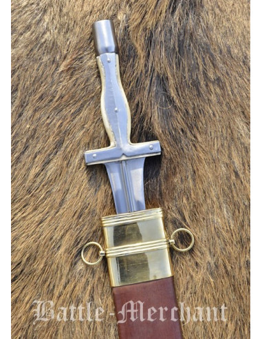 Campovalano Hoplieten zwaard met schede