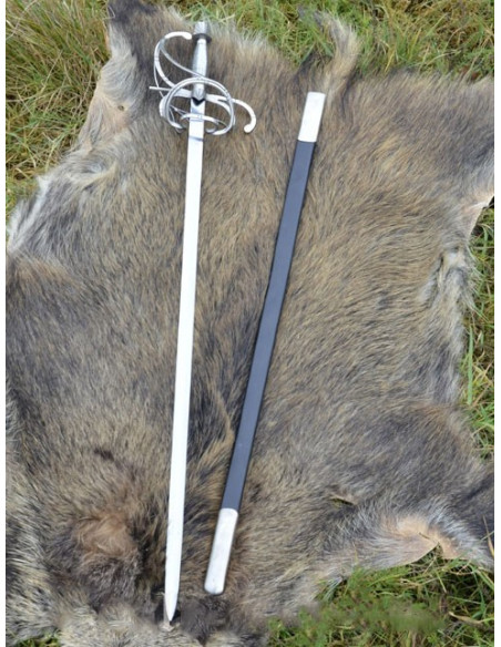 Renaissance rapierzwaard met schede