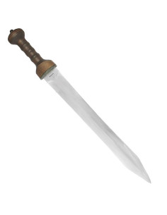 Gladius Mainzer Kondor