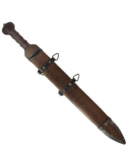 Gladius Mainzer Kondor