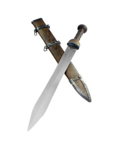 Gladius Mainzer Kondor