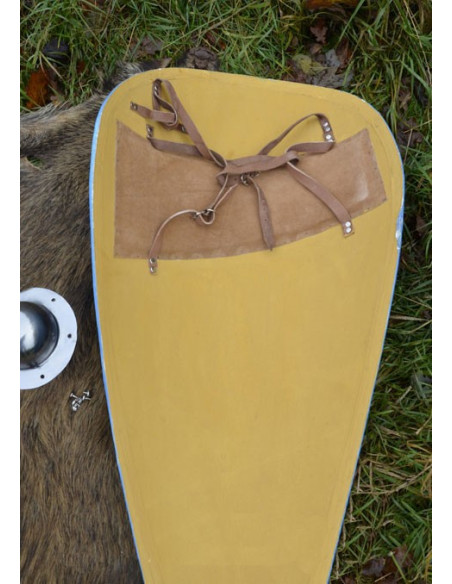 Normandische schildvlieger