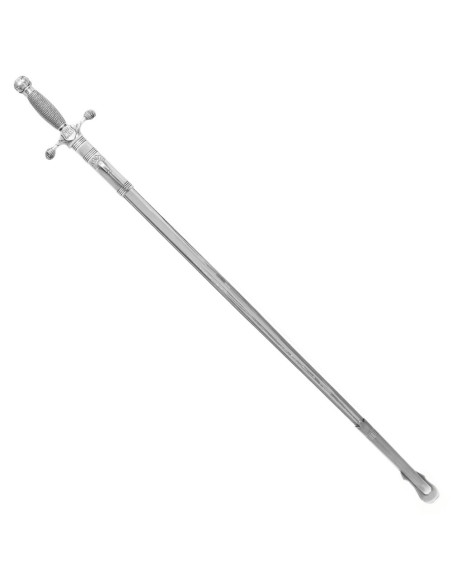 US Air Force officielle sabel