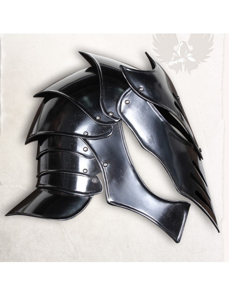 Reginalt Fantastischer Helm