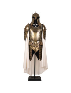 Royal Guard pantser messing staal 2