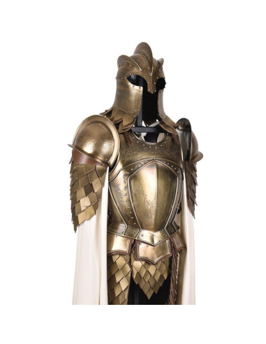 Royal Guard Armour messingbelagt stål