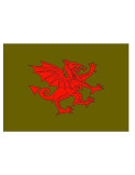 Bandera medieval Dragón rojo