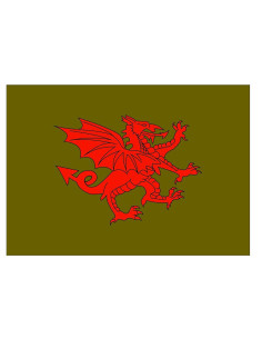 Mittelalterliche rote Drachenflagge