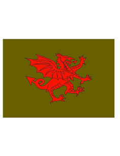 Mittelalterliche rote Drachenflagge
