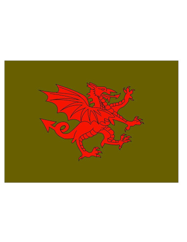 Bandera medieval Dragón rojo