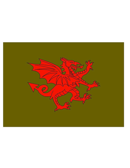 Bandera medieval Dragón rojo