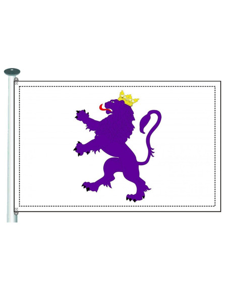 Vlag van het Koninkrijk Leon