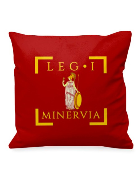 Roman Legio I Minervia pude