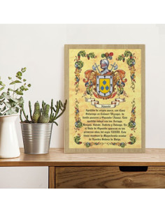 Heraldische schilden tafel 1 achternaam (30x40 cm.) 2