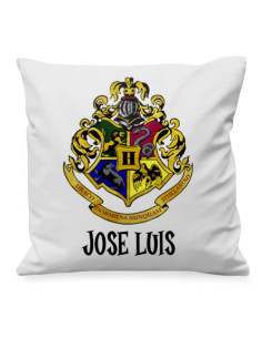 Cojín Magic School de Harry Potter