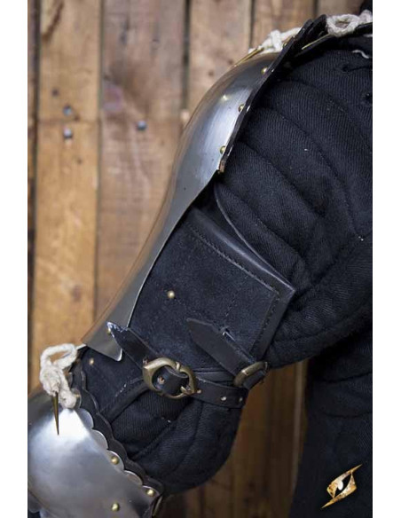 Paladin schoudervullingen