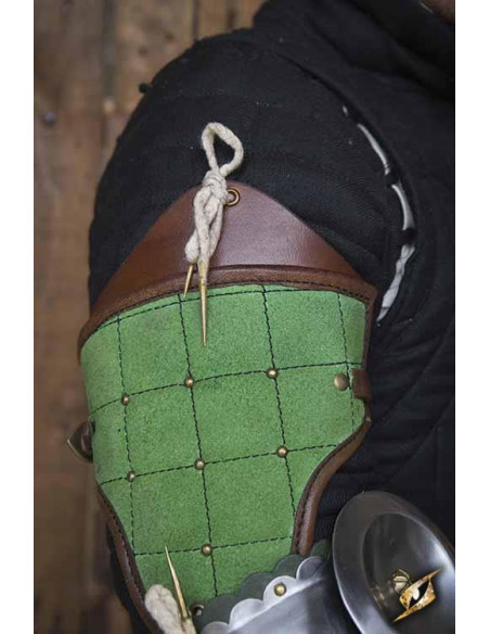 Protección completa de brazo de Paladín