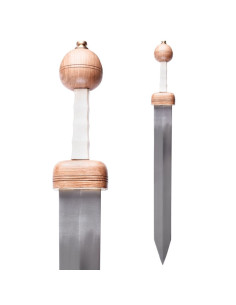 Gladius-Schwert aus Pompeji