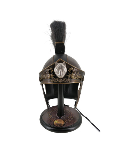 Casco General Máximo, Película Gladiator