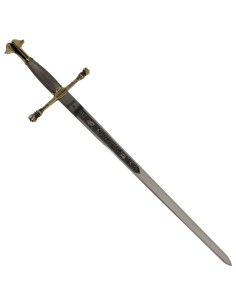 Gouden Carlos V-zwaard, cadet