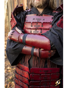 Samurai-Armschienen