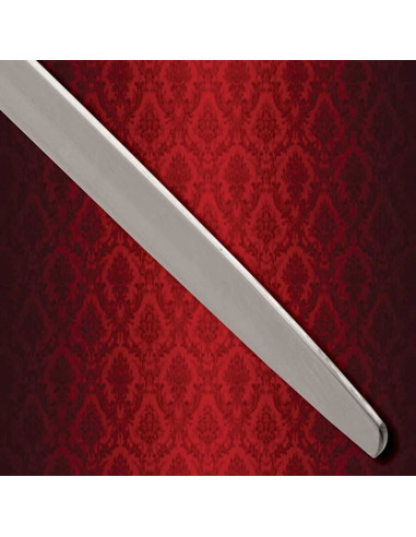 Espada de Combate Caballero Errante