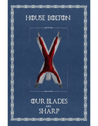 Banner Game of Thrones Huis Bolton (75x115 cm)