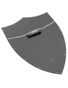 Templar Schild met gouden randen 2