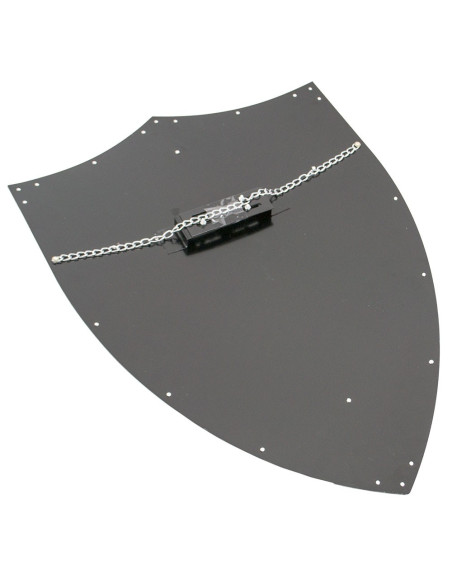 Templar Schild met gouden randen