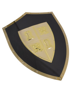 Castilla y León zwart schild