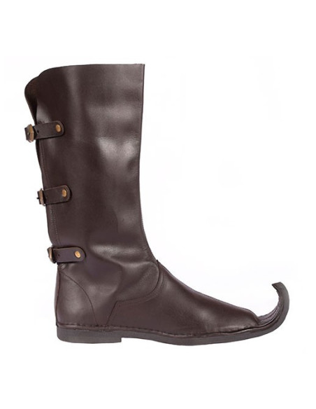 Hohe spitze Stiefel, Poulaines