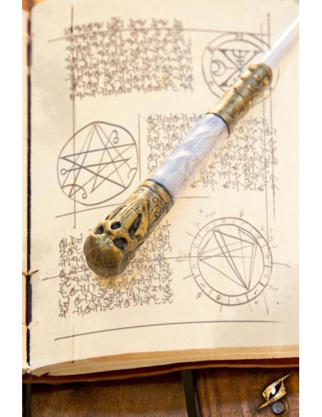 Toverstaf van de Necromancer