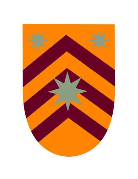 Estandarte Medieval Estrellas  sobre...