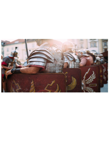 Roman Legion Træningsbadehåndklæde... Roman Legion Træningsbadehåndklæde...