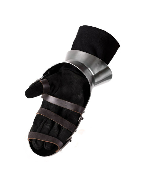 Mailänder Panzerhandschuhe, S. XV